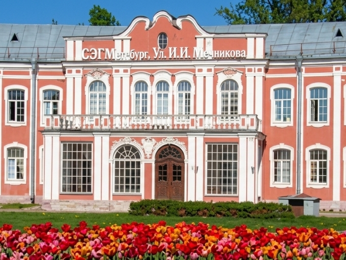 Untitled design (25)